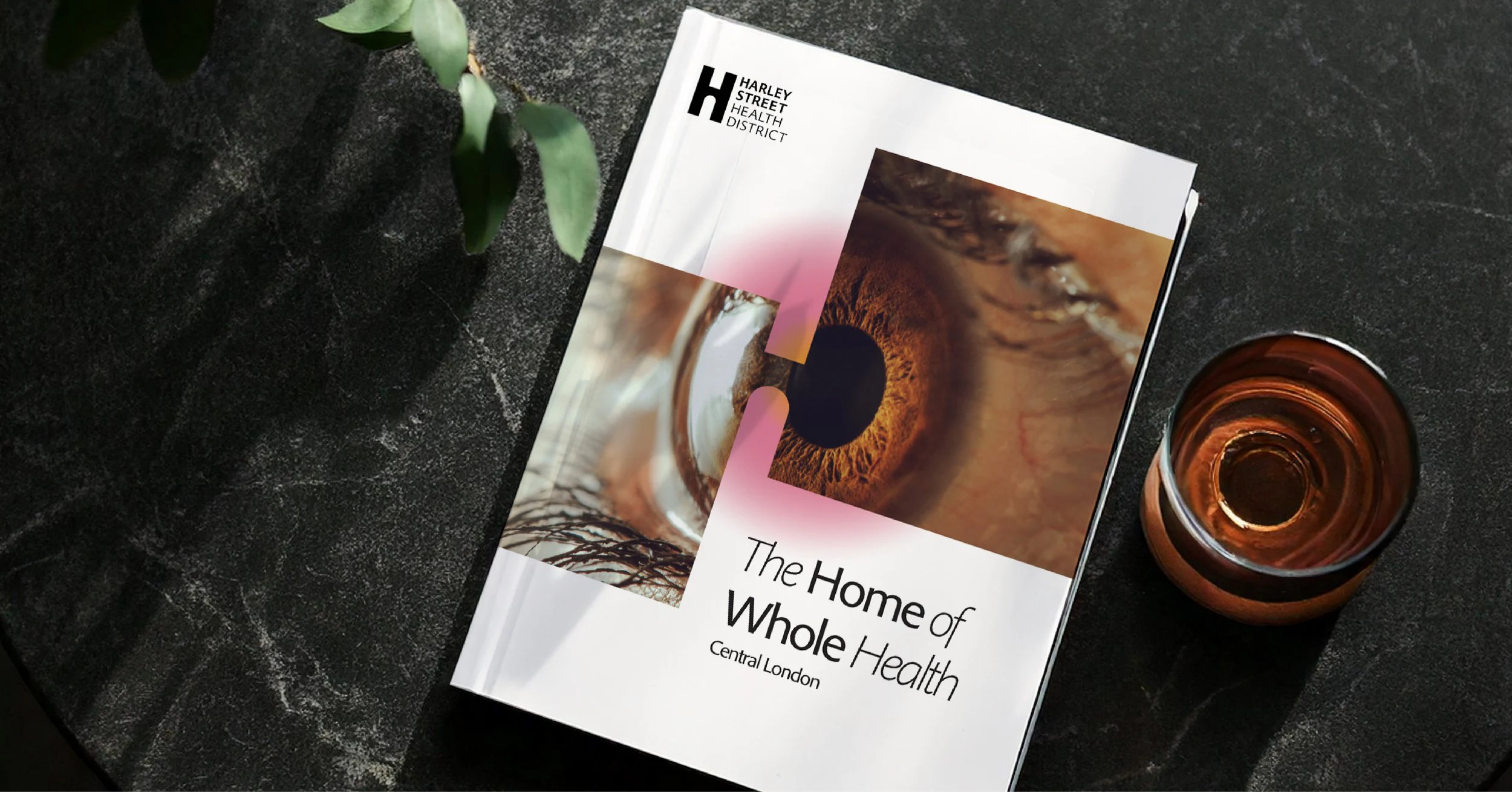 Harley Street Health District brand brochure