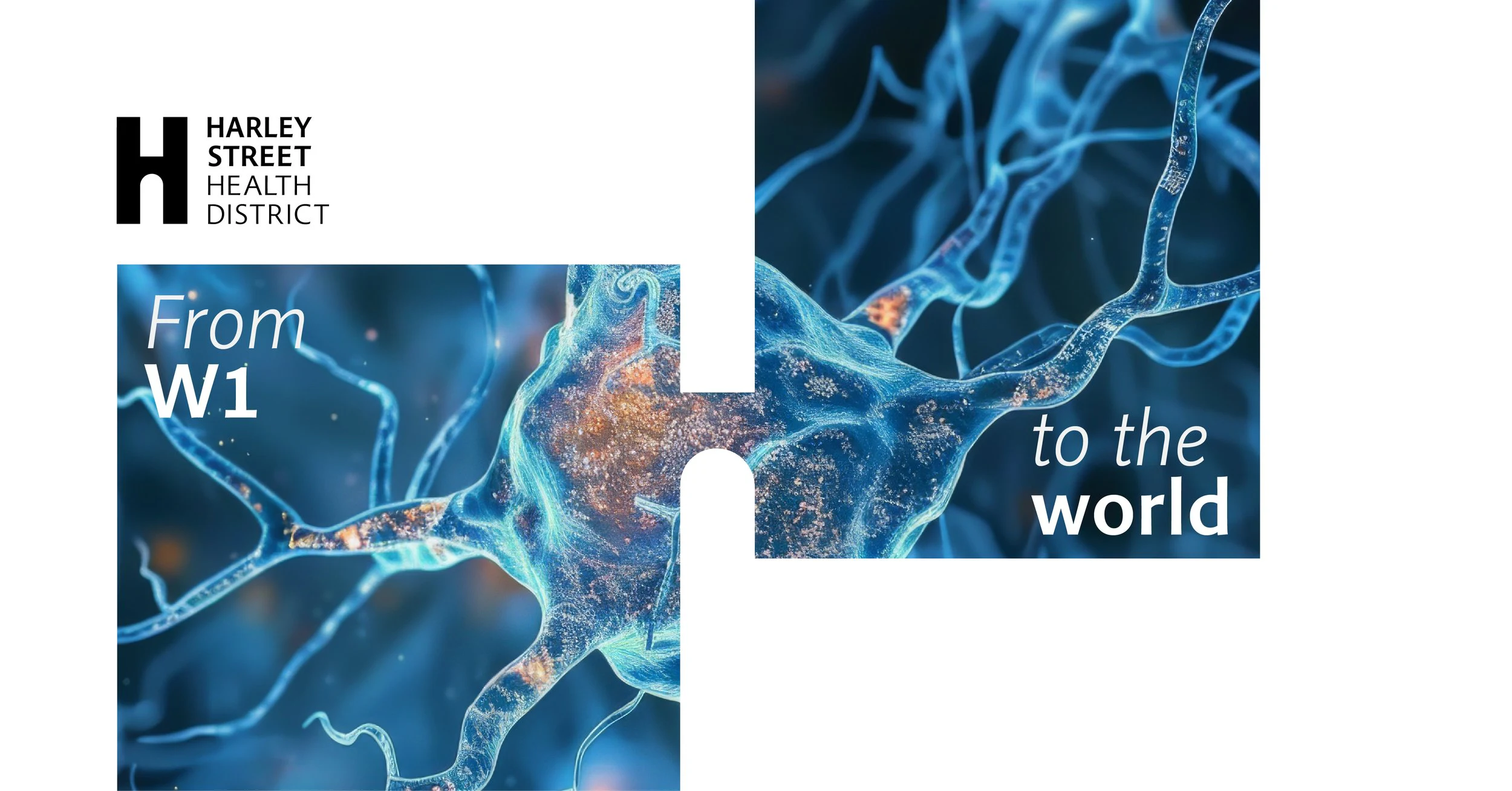 Harley Street Health District global connections campaign