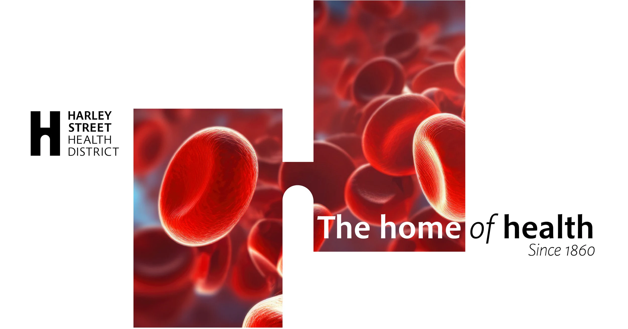 Harley Street Health District home of health campaign